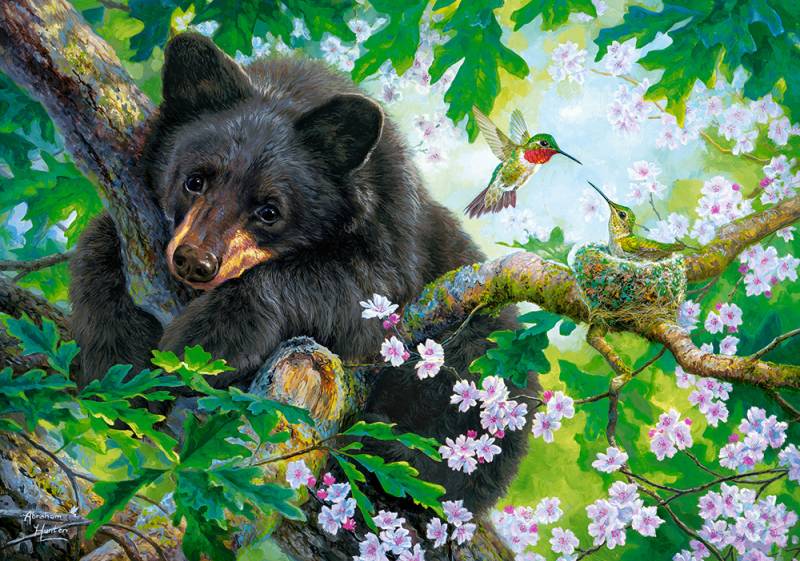 Castorland The Bear and the Hummingbirds 500 Teile Puzzle Castorland-53629 von Castorland