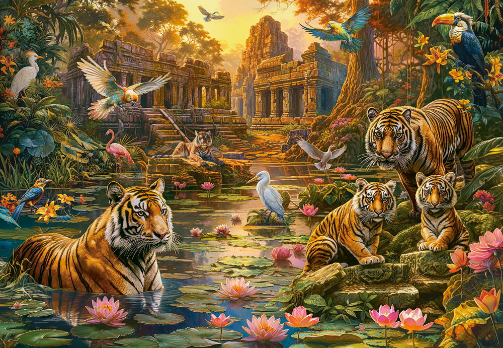 Castorland Tigers Paradise 1000 Teile Puzzle Castorland-105199 von Castorland