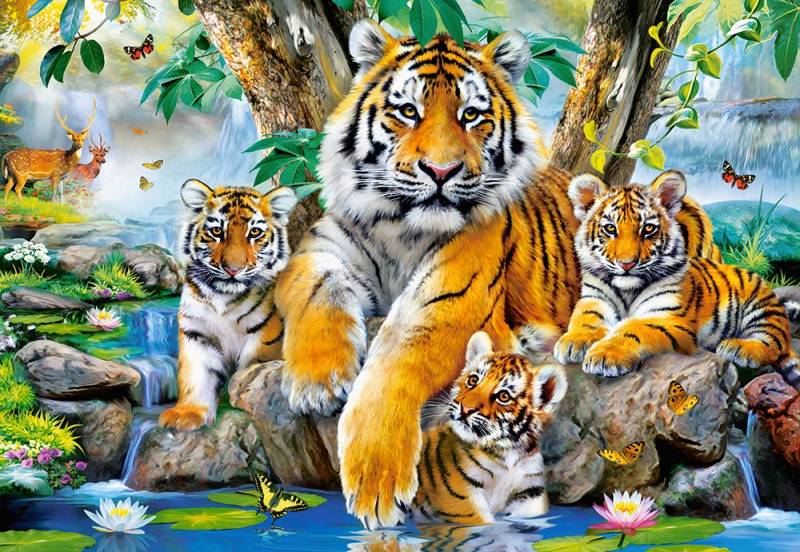 Castorland Tiger am Strom 1000 Teile Puzzle Castorland-104413 von Castorland