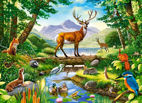 Castorland Woodland Harmony 300 Teile Puzzle Castorland-030408 von Castorland