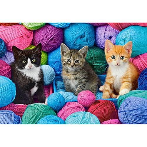 Puzzle 1000 pièces : Chatons Dans le magasin de Laine von Castorland