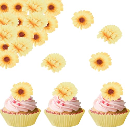 Catelves Essbare Gänseblümchen Tortendeko Blumen,48 Stück Essbare Blumen für Torte,Essbare Blüten Cupcake Deko,Esspapier Blumen Deko Torte Essbar,Kuchen Deko Blumen,Cupcake Topper Blumen Geburtstag von Catelves