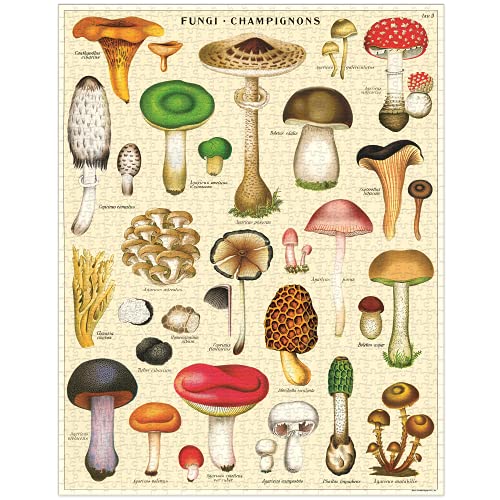 Cavallini & Co. 1000 Piece Vintage Puzzle, Mushrooms (PZL/MUSH) von Cavallini