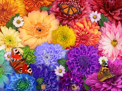 Ceaco - Flower Spectrum - 300 Oversized Piece Jigsaw Puzzle von Ceaco