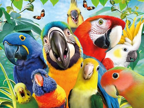 Ceaco - Selfies - Perfect Parrot - 500 Teile Puzzle von Ceaco