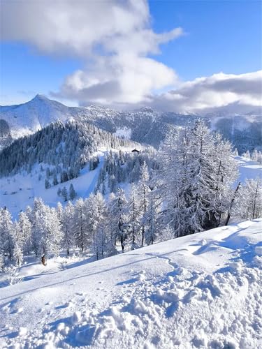 Verschneite Landschaft - Puzzles für Erwachsene,Puzzle 1000 Teile, Puzzle 50x75cm, DIY-Puzzles für Heimdekoration, Familienpuzzle für Erwachsene und Kinder von Cekog