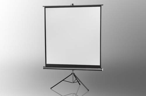 Celexon Stativ Economy 1090014 Stativleinwand 133 x 133cm Bildformat: 1:1 von Celexon