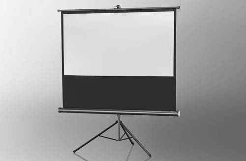 Celexon Stativ Economy 1090023 Stativleinwand 244 x 138cm Bildformat: 16:9 von Celexon