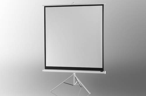 Celexon Stativ Economy 1090262 Stativleinwand 133 x 133cm Bildformat: 1:1 von Celexon