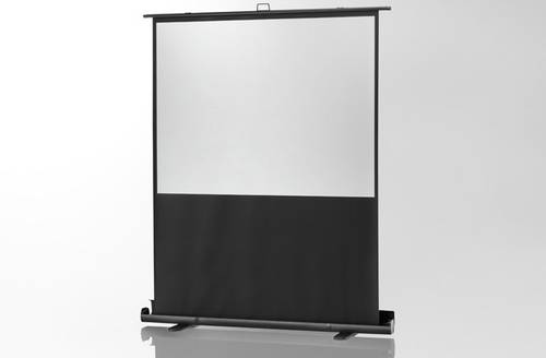 Celexon Ultramobil Plus Professional 1090370 Ausziehbare Leinwand von Celexon