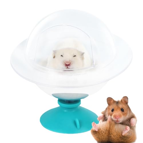 Celuicion Hamsterbad, Sandbadebox für Hamster,Duschraum Badeschüssel Katzentoilette Sandbad | Sandbehälter zum Graben, Entspannungshaus für Goldhamster und Zwerghamster von Celuicion