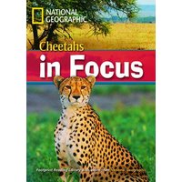 Cheetahs in focus von Cengage