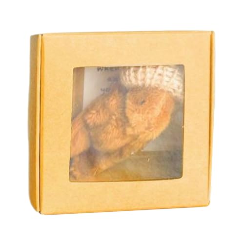 Gefülltes Bären-Geschenk, Plüsch-Spielzeug in Box mit inspirierender Nachrichtenkarte, weicher Plüschtier für Mädchen, süßer Komfortbär für Bett, Auto, Dekoration, Positivity Present Gefülltes Bären-Geschenk, Plüsch-Spielzeug in Box mit inspirierender Nachrichtenkarte, weicher Plüschtier für Mädchen, süßer Komfortbär für Bett, Auto, Dekoration, Positivity Present von Ceprznvey