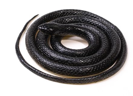 Cerioll Elastische Schlange aus Weiche, Gummi Gefälschte Schlangen, Realistische Gummi Spielzeug Schlange um Vögel/Katzen Fernzuhalten Oder Garten-Requisiten, Streiche, Halloween-Dekoration - 128 cm Cerioll Elastische Schlange aus Weiche, Gummi Gefälschte Schlangen, Realistische Gummi Spielzeug Schlange um Vögel/Katzen Fernzuhalten Oder Garten-Requisiten, Streiche, Halloween-Dekoration - 128 cm von Cerioll