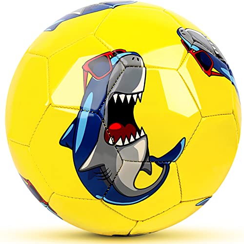 Champhox Kinder Fußball Ball mit Pumpe, Kinder-Sportball, Cartoon-Design, Kleinkinder, Freizeitball für drinnen und draußen, Ball für Kinder, Kleinkinder, Mädchen, Jungen, Kinder (Größe 1, Shark) von Champhox