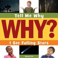 I See Falling Stars von Cherry Lake Publishing