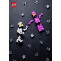 Lego Minifigure Journal von Chronicle Books