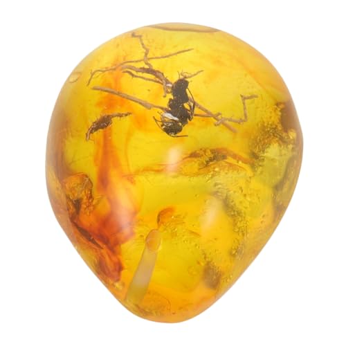 Ciieeo Insekt Bernstein Anhänger Klein Leicht Natürlicher Harz DIY Schmuck Detailreiches Sammler Ornament Einzigartiges Insektenexemplar für Dekoration und Sammlung Ciieeo Insekt Bernstein Anhänger Klein Leicht Natürlicher Harz DIY Schmuck Detailreiches Sammler Ornament Einzigartiges Insektenexemplar für Dekoration und Sammlung von Ciieeo