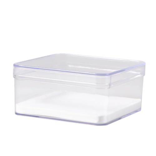 Ciieeo Insekten displaybox Transparent mit Deckel Vielseitige Aufbewahrungsbox für Insektenproben Schmuck Münzen und Kleine Sammlerstücke Schützende Vitrine für Präzise Präsentation Ciieeo Insekten displaybox Transparent mit Deckel Vielseitige Aufbewahrungsbox für Insektenproben Schmuck Münzen und Kleine Sammlerstücke Schützende Vitrine für Präzise Präsentation von Ciieeo