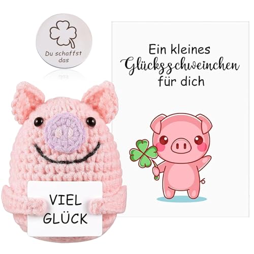 Pocket Hug Schwein, Pocket Hug Glücksschweinchen, Glücksbringer Prüfung,Positive Kartoffel - Ersatz, Glücksschwein mit Legierungszubehör, Glücksbringer Prüfung Geschenk für Kinder und Freunde von Cinsersr