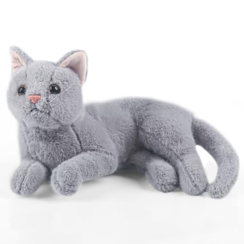Clvsyh Niedliches Katze Plüschtier Spielzeug, Katze Kuscheltier, Weiche Katze Stofftierpuppe Geschenk für Jungen und Mädchen, 30cm, Grau Clvsyh Niedliches Katze Plüschtier Spielzeug, Katze Kuscheltier, Weiche Katze Stofftierpuppe Geschenk für Jungen und Mädchen, 30cm, Grau von Clvsyh