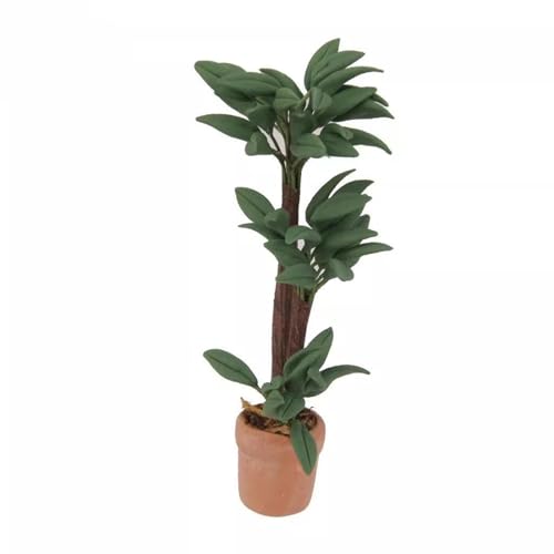 Cnrfeoap Realistische Pflanzenpännungshäuser Miniatur Brazilwood Money Tree Mit Töpferwaren Für 1/12 Dollhouses Garten Terrassen Dekore von Cnrfeoap