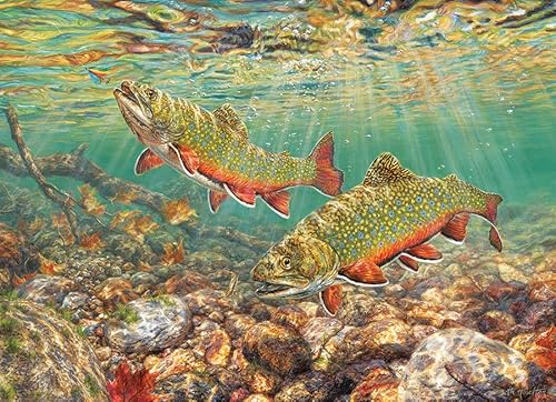 Cobble Hill 1000 Teile Puzzle – Brook Trout – Musterposter im Lieferumfang enthalten von Cobble Hill