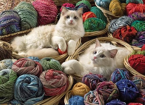 Cobble Hill 1000 Teile Puzzle – Ragdolls – Musterposter im Lieferumfang enthalten Cobble Hill 1000 Teile Puzzle – Ragdolls – Musterposter im Lieferumfang enthalten von Cobble Hill