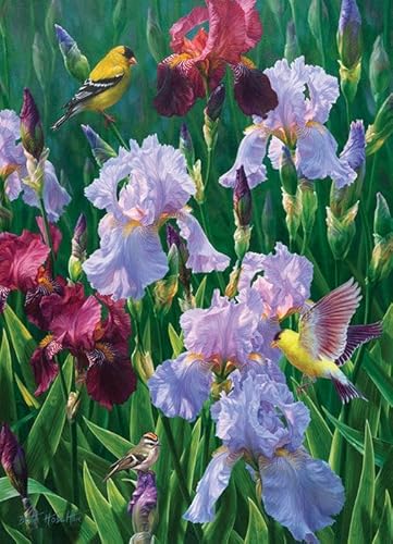 Cobble Hill 1000 Teile Puzzle – Spring Glory – Beispielposter enthalten Cobble Hill 1000 Teile Puzzle – Spring Glory – Beispielposter enthalten von Cobble Hill