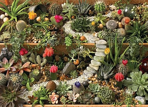 Cobble Hill 1000 Teile Puzzle – Sukkulenten Garten – Musterposter im Lieferumfang enthalten von Cobble Hill