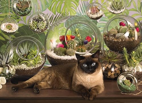 Cobble Hill 1000 Teile Puzzle – Terrarium Katze – Musterposter im Lieferumfang enthalten von Cobble Hill