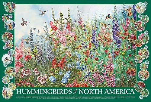 Cobble Hill 2000 Teile Puzzle – Kolibris von Nordamerika – Musterposter im Lieferumfang enthalten von Cobble Hill