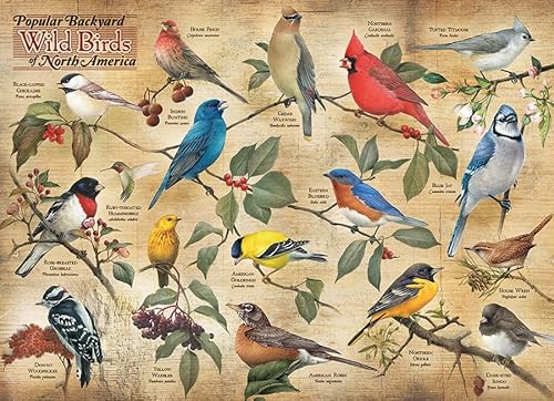 Cobble Hill Puzzle mit 1000 Teilen – beliebte Wildvögel Nordamerikas – inklusive Beispielposter von Cobble Hill