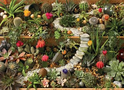 Cobble Hill Succulent Garden 1000 Teile Puzzle Cobble-Hill-40087 von Cobble Hill