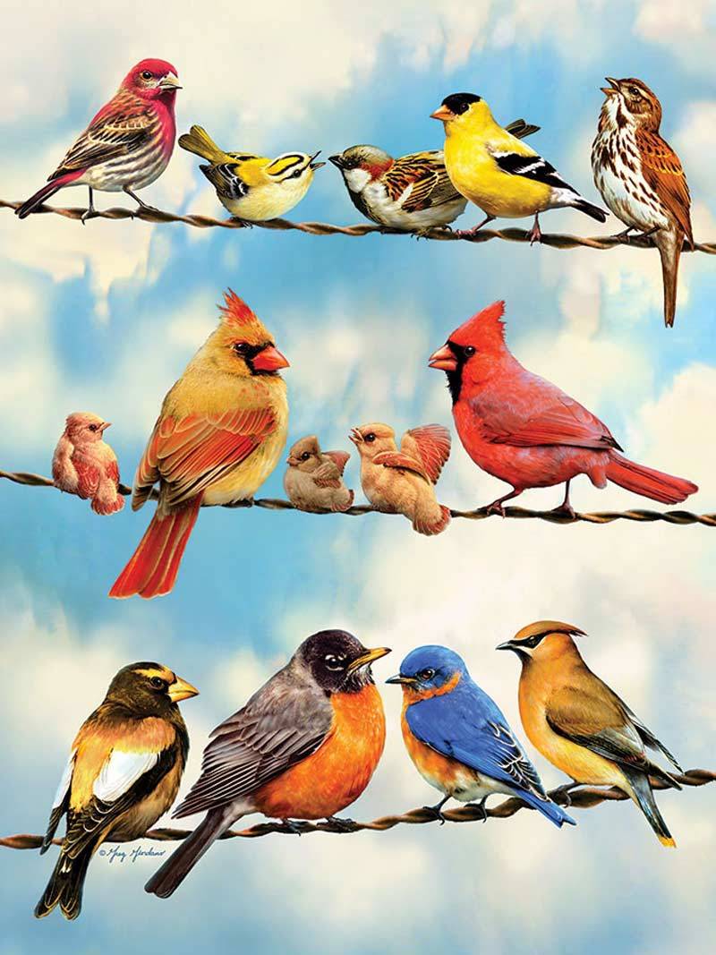 Cobble Hill XXL Teile - Birds on a Wire 500 Teile Puzzle Cobble-Hill-45046 von Cobble Hill