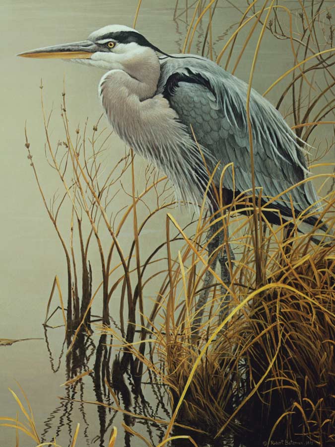 Cobble Hill XXL Teile - Great Blue Heron 500 Teile Puzzle Cobble-Hill-45049 von Cobble Hill