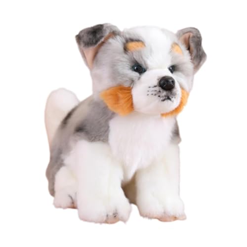 Colcolo Cartoon Gefüllte Hundespielzeug Kuscheltiere Geburtstagsgeschenke Dekorative Kreative Sofa Ornamente Umarmungsspielzeug für Kinder Kinder Baby, Australischer Hund von Colcolo