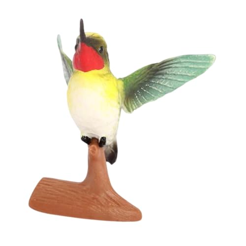 Colcolo Hummingbird Model Figure Statue Collection Realistische Tierskulpturfigur für Partybevorzugungen Ornamente Klassenzimmer Belohnung, 3241 von Colcolo