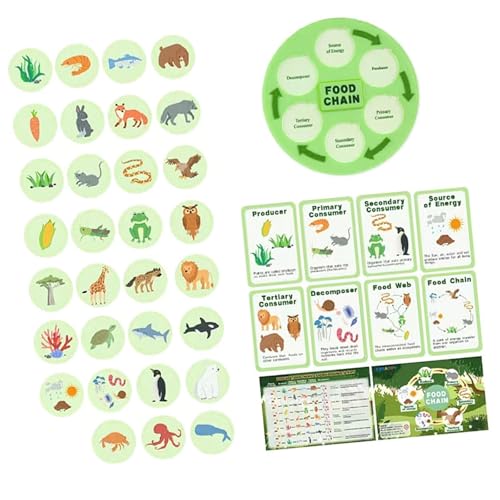 Colcolo Lebenszyklus Kit Lebenszyklus Kette Bildung Spielzeug Tier Matching Game Food Web Animal Learning für 3 4 5 6 7 8 Klassenzimmer Kinder von Colcolo