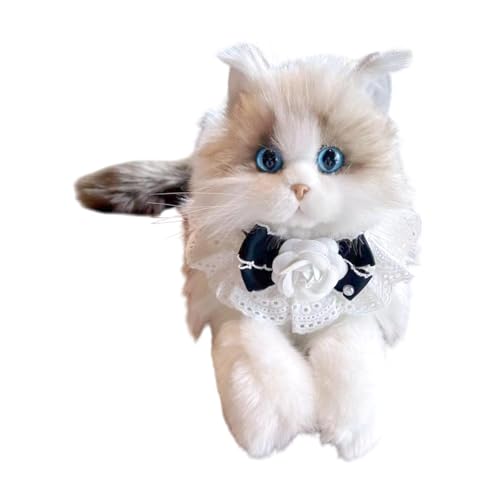 Colcolo Realistische Ragdoll -Katze Stoffed Animal Cat Doll Weiches Simulationskätzchen Stofftierkatze Katze Plüschspielzeug für Kinder Kinder, Katze Rosenschal von Colcolo