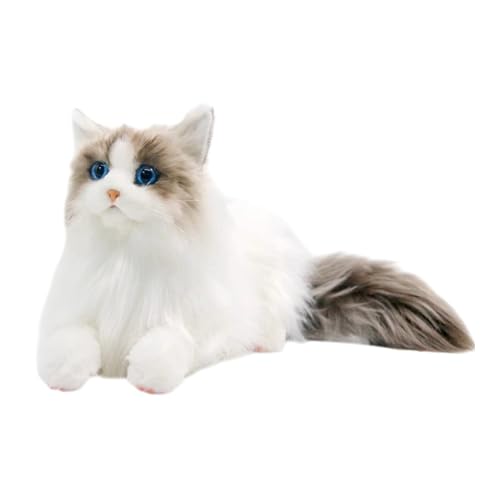 Colcolo Realistische Ragdoll -Katze Stoffed Animal Cat Doll Weiches Simulationskätzchen Stofftierkatze Katze Plüschspielzeug für Kinder Kinder, Katze von Colcolo