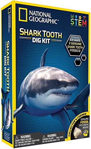 Collect National Geo - Shark Tooth Dig Kit - lässt Kinder Fossilien von drei verschiedenen Haiarten graben und erkunden! Wo Spaß und Bildung treffen! von Collect