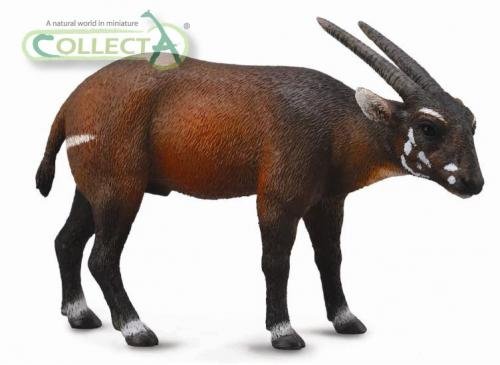 CollectA Saola (Vu-Quang-Antilope) - Vorbestellung ca. Juni 2013 von CollectA