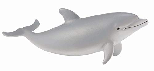 CollectA Tursiops (Delfin) Kalb von CollectA