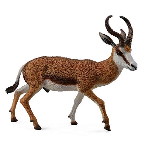 Collecta – Col88684 – Afrikanische Gazelle – Größe L, Moyen von Collecta