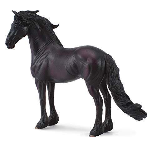 88439 - Friesian Stallion - Co 88439 - Friesian Stallion - Co von Collecta