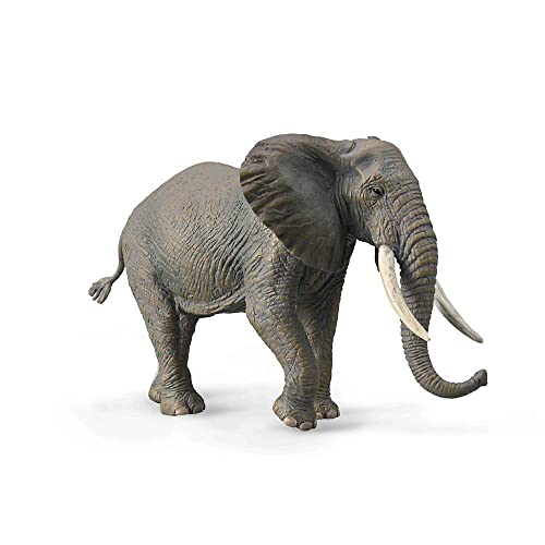 CollectA Afrikanischer Elefant von Collecta