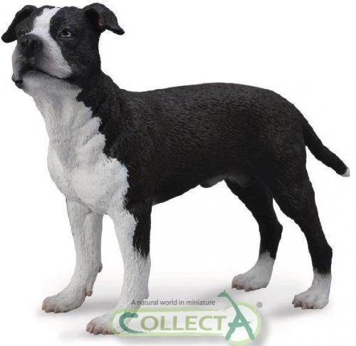 CollectA American Staffordshire Terrier - Vorbestellung ca. Juni 2013 von Collecta