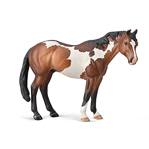 Appaloosa Ogier maści Bay Overo von Collecta