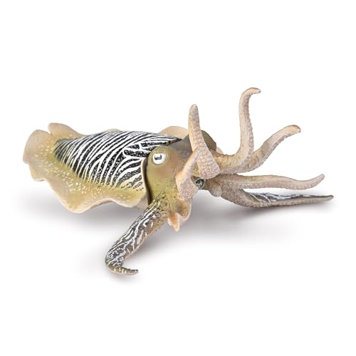 CollectA Gemeiner Tintenfisch – Realistische handgefertigte Meereslebewesen, Ozean-Spielzeug und Figuren, Tiermodelle, Tier-Geschenke für Kleinkinder und Kinder, ab 3 Jahren CollectA Gemeiner Tintenfisch – Realistische handgefertigte Meereslebewesen, Ozean-Spielzeug und Figuren, Tiermodelle, Tier-Geschenke für Kleinkinder und Kinder, ab 3 Jahren von Collecta